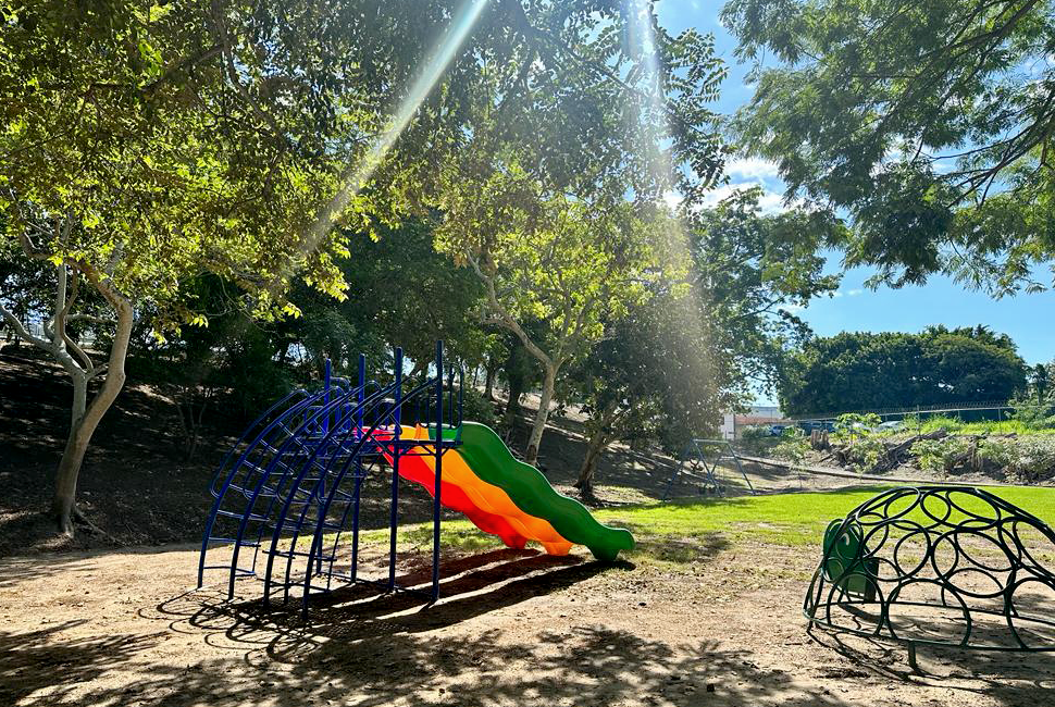 BOSQUE juegos