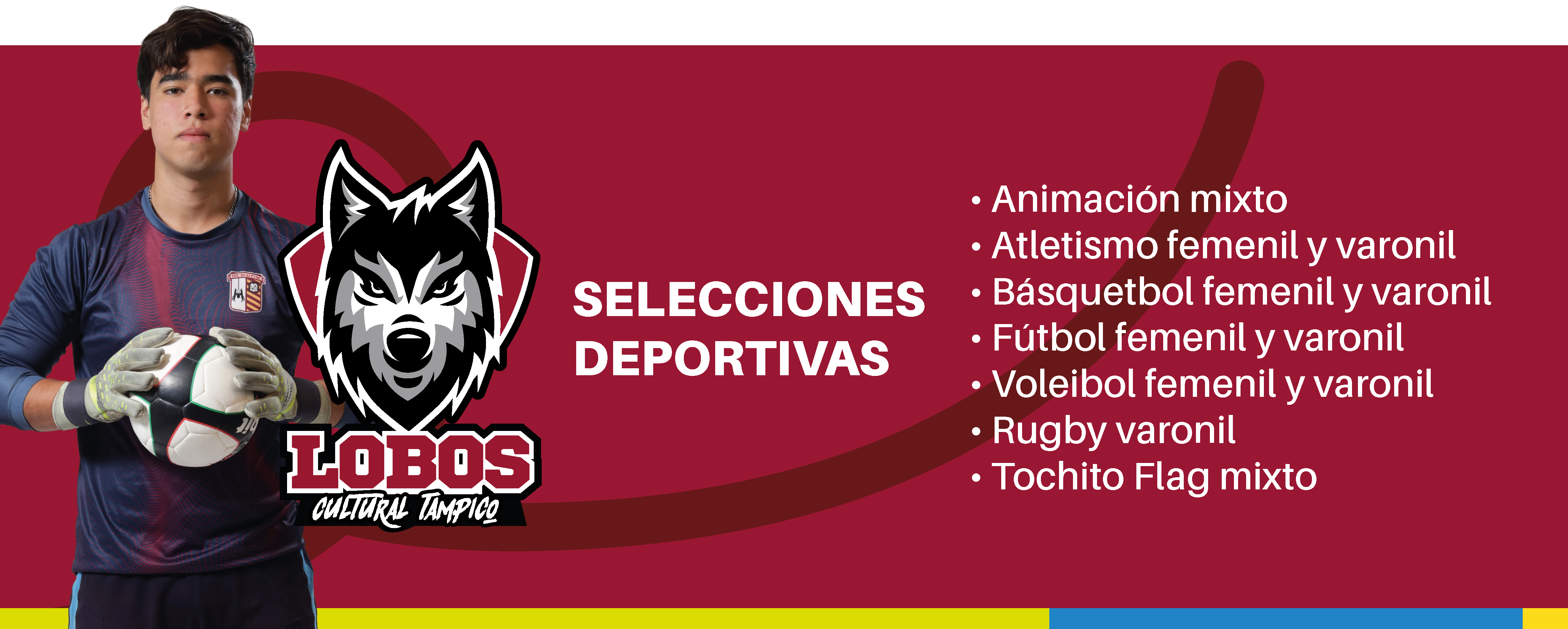 banner info bachi 2_Mesa de trabajo 1 banner info bachi 2_Mesa de trabajo 1
