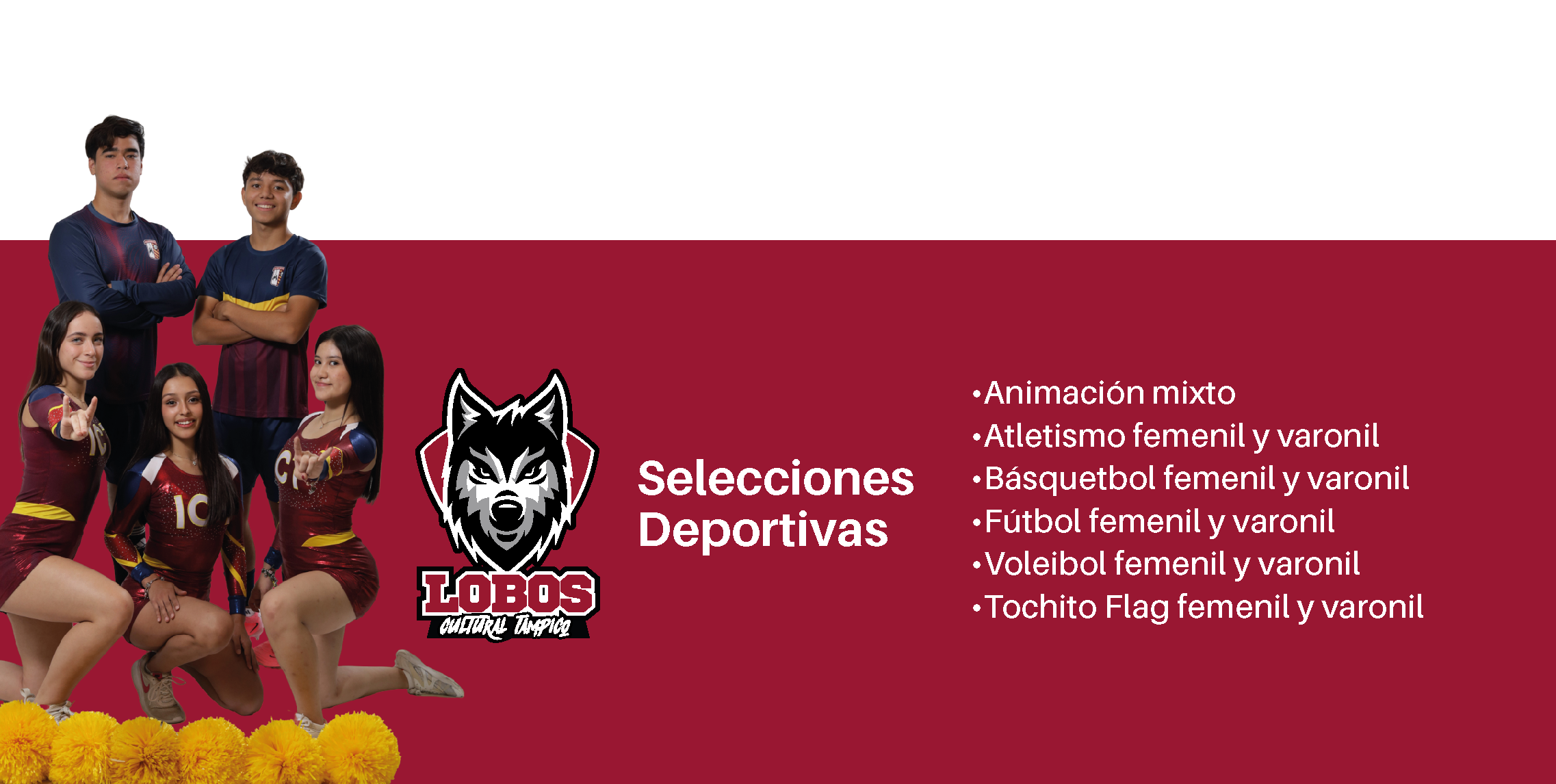 selecciones deportivas bachi 2026 selecciones deportivas bachi 2026